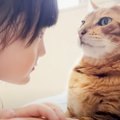 大人が肉球に触れると『絶対に噛む猫』に5歳の娘が触った結果…明らか…