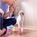 猫と『シャボン玉』で遊んでみたら…2匹の反応が『対照的すぎる』と6万…