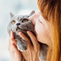 猫を危険にさらす『絶対NGな甘やかし方』4選！病気になる可能性も…？