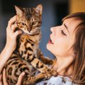 普通の猫と『大型猫』にはどんな違いがある？4つの違う所