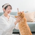 猫が『抱っこが大嫌い』になってしまう4つの理由　抱っこに慣れてもら…