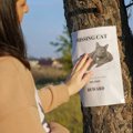 行方不明の愛猫がやっと戻ってきた…その３週間後、もう１匹同じ猫が現…