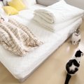 パパが風邪で寝込んでいると…猫たちが見せた『優しさ溢れる行動』にほっこ…