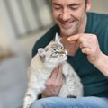 猫のことを理解していない飼い主がしているNG行為3選