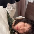 疲れて眠っているママを発見した『子猫』→布団をめくってあげると…「…