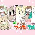 半分アメショのつくねとコナン【第119話】 「キャリーケース(つくね編…