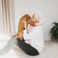 猫がわざわざ『飼い主の顔』に乗ってくる理由3つ　考えられる心理から上手…