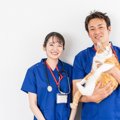 猫が通う『動物病院』を決める方法4つ　どう探せばいいの？信頼できる病院…