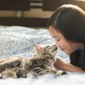 とにかく猫に好かれるための方法！