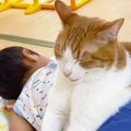 「なんでって所にｗ」息子とお昼寝する猫が『予想外の寝相』で…爆笑の…