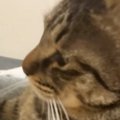 『ニンニクたっぷりのラーメン』を食べて帰宅した結果→愛猫がとった『まさ…