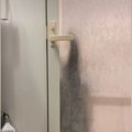 ごはんの時間が待ちきれないネコ→『浴室』までやってきて……たまらなく…