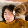 『体調不良で寝込むママ』に猫が気付いた結果…"優しすぎる行動&q…