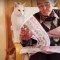 猫ちゃんとおばあちゃんの攻防戦！新聞は読める？