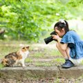 猫が『カメラを向けると顔を背ける』のはなぜ？カメラを嫌がるつの理由と…
