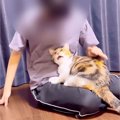 『保護猫』と仲良くなりたい長女…12日目に訪れた『待ちに待った瞬間』…