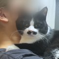 ママにべったりな『超甘えん坊猫』→パパにくっつかれると…想像を超える『…