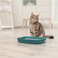 猫も身にも起こる『尿路結石』に関する5つの知識 　発症する原因や主…