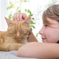 猫を繰り返し褒める『陽性強化法』とは？正しい実践の仕方を解説！