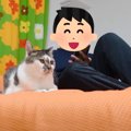 『ママ不在の日』に……パパには普段『塩対応な猫』が見せた→まさかの行…