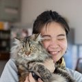 『長生きする猫種』4選♪それぞれの特徴と理由を解説