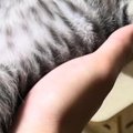 『早くお風呂入りな』と言われても動こうとしない男の子→様子を見に行…