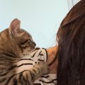 『ドライヤー』を使い始めると、ネコが必ずやってきて…まさかの行動に笑っ…