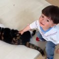 猫をロボット掃除機から守りたい男の子→大慌てでやってきて…微笑まし…