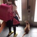 『外に出たい猫』を巧妙にかわす息子の行動…予想を超えてくる光景が爆…