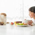 人間にとって『健康にいい食品』でも猫には注意？3つの食べ物ごとの安全性…