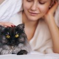 猫に愛される人が実践している『猫を喜ばせるテクニック』4選　猫上級…