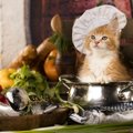 猫は昆布を食べても大丈夫？与え方と注意点を解説！