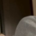 寝苦しくて目を覚ますと、愛猫が……甘えん坊すぎる『かわいい行動』に癒さ…