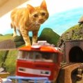 『鉄道模型』に小型カメラを設置→『猫』の前を通り過ぎた結果…可愛すぎる…