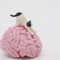 猫と人間のアルツハイマー病は「類似している」　双方の治療に役立つ発見…