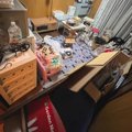 『ねこ部屋を作ろう』→床が見えない部屋を片付けてDIYした結果…まさかの光…