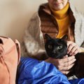 猫のための『非常持ち出し袋』に必要な4つのもの　いざというときに備…