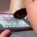 黒猫の手を借りて『太鼓の達人』をプレイしてみた結果…シュールすぎて…