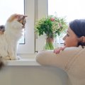 猫に話しかけたら『うなずいた』…なぜ？考えられる4つのキモチ　もし…