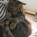 抱っこの相手で態度を変える猫ちゃんの無慈悲さがツライ