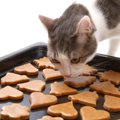 可愛い猫のクッキーを販売しているおすすめのスイーツ店５選