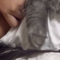 娘と猫が仕事部屋に入ってきたと思ったら…『可愛すぎる行動』にほっこりす…