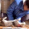 猫が勉強中のお兄ちゃんのそばで…まるで『恋人同士』な光景が尊すぎる…