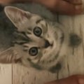 洗い物中、足元にやってきた『鍵しっぽの子猫』→小さな声で鳴き始めて…