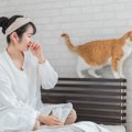 猫の『おなら』って聞いたことある？3つの豆知識と危険な場合の見分け方