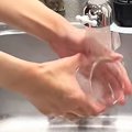 洗い物をしていると、そばにやってきた猫→真剣な表情でじっと見つめてきて…