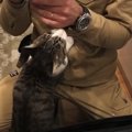 警戒心はどこへ？猫が初対面の業者さんにまさかの行動！「距離の詰め…