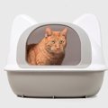 『猫トイレにカバー』はあったほうがいい？目隠しをすることのメリッ…