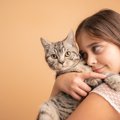 猫に『ヤキモチ』を焼かせてしまった時に飼い主がすべき対処法4つ