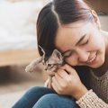 好かれたい一心で…実は猫にNGな行為４つ